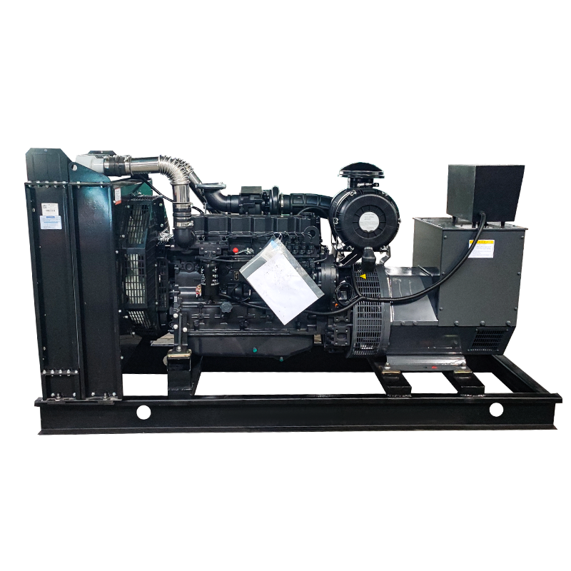 Shanghai Diesel Motor Generator Sæt